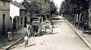 2564- Douaouda - Grande Rue2